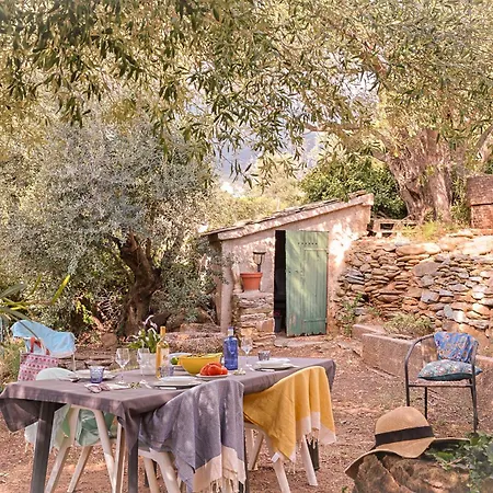 Maison De La * Erbalunga (Corsica)